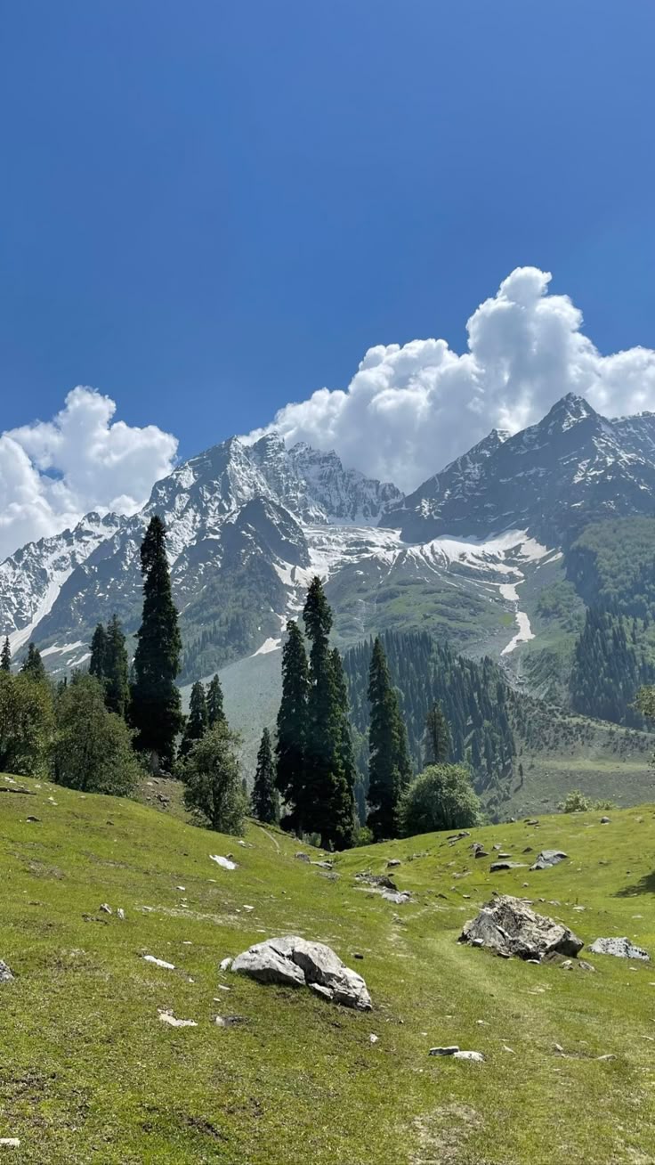 Kashmir Tour Package